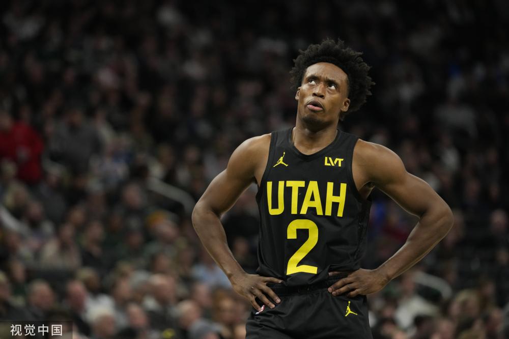 也揭示了维 也揭示了维